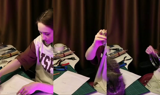 talentlesstalent's Stream - Oct 29, 2026, 3:21 PM