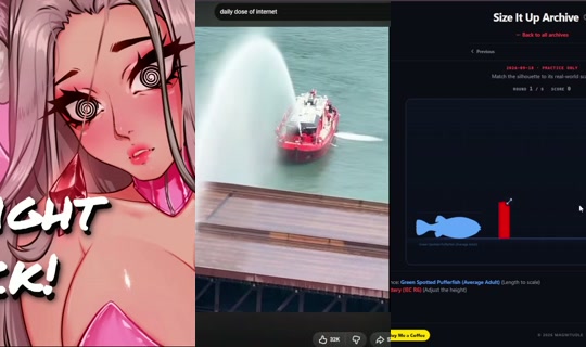 thesnootyfox's Stream - Sep 21, 2026, 11:34 PM