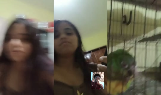 Elly_jucielly's Stream - Aug 19, 2026, 9:34 PM