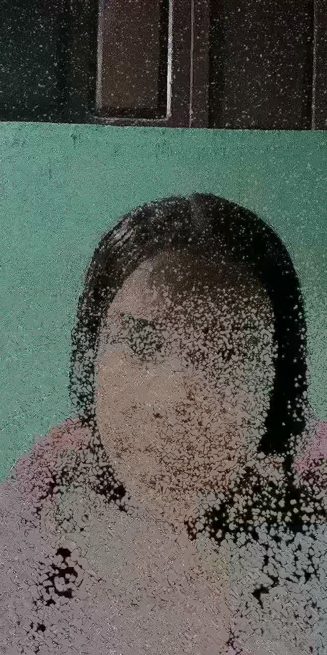 Francyelle_ofcl
