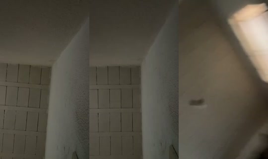 _sasha.xs's Stream - Sep 13, 2026, 6:27 PM