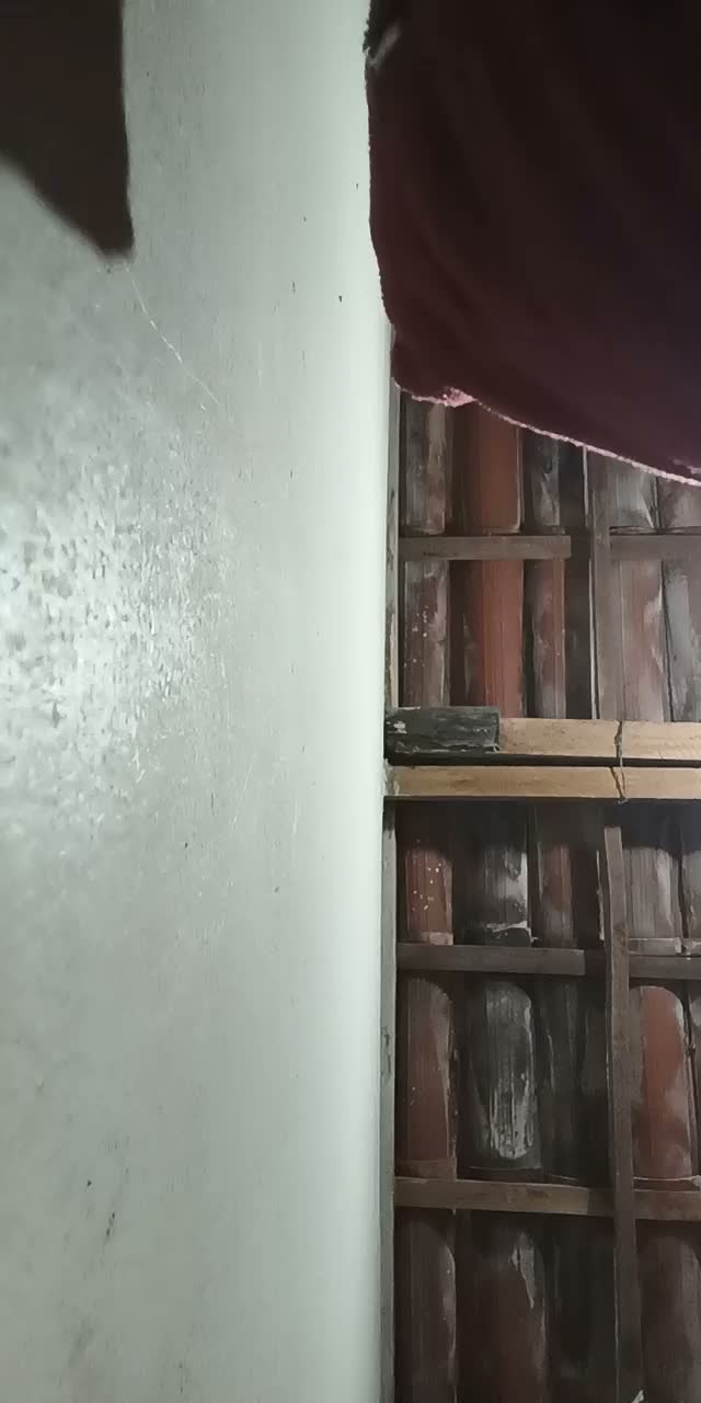 daniellyinacio342