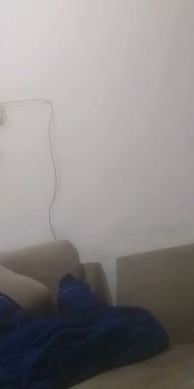 dannimoura34