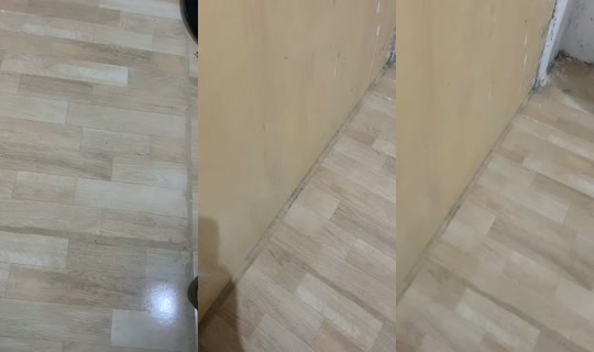 Stream ni elisaryannemou588 - Hul 29, 2026, 2:47 AM