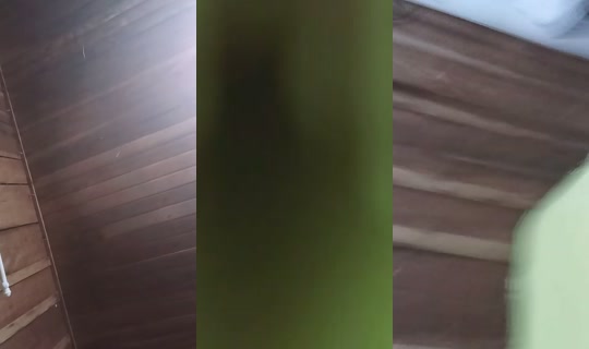 maria1214407's Stream - Jul 17, 2026, 1:37 AM