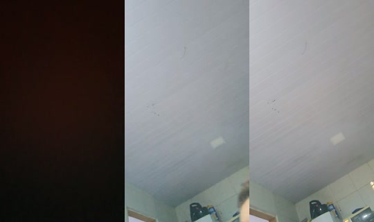 mayllaa's Stream - Aug 8, 2026, 8:20 AM