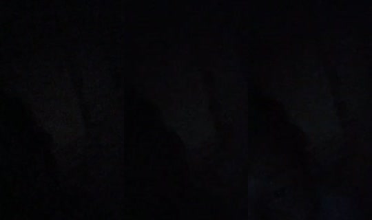 tiaramachado702's Stream - Aug 5, 2026, 12:24 AM