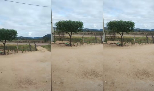 tiaramachado702's Stream - Aug 6, 2026, 11:12 AM