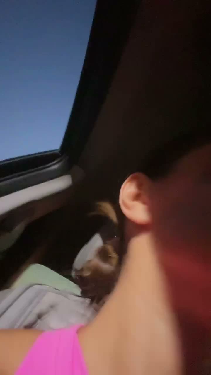 1105259277276291072