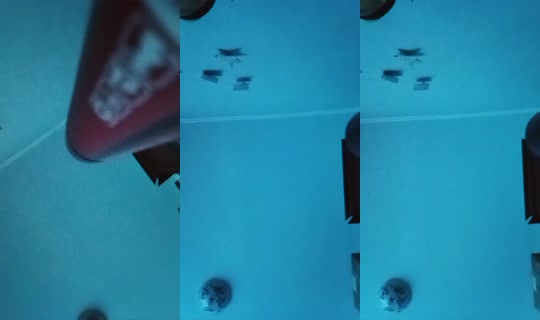 1224759386409410561's Stream - Oct 22, 2026, 8:06 AM