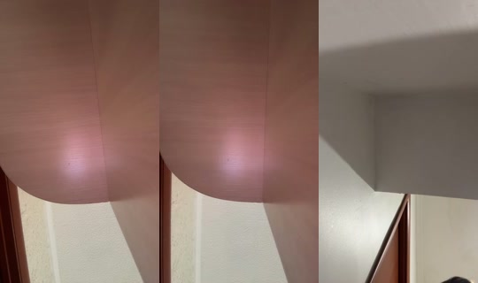 Transmisión de 1230949974435569665 - 4 ago 2026, 4:53