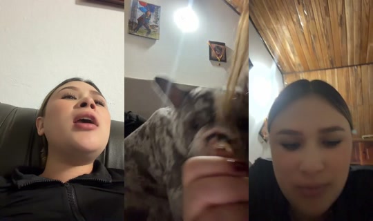 1353374313776029697's Stream - Oct 19, 2026, 2:14 AM
