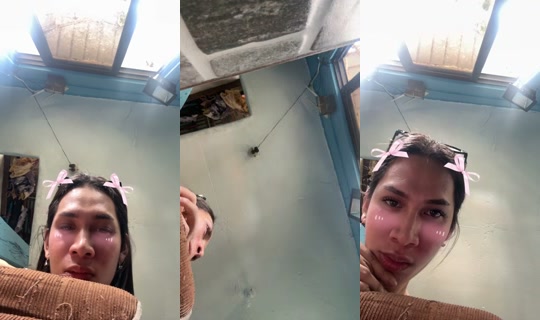 1376024696885223425's Stream - Jul 19, 2026, 6:21 AM
