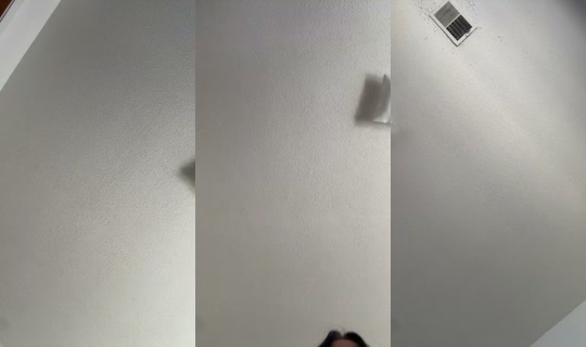 1551032304586852353's Stream - Oct 22, 2026, 3:13 PM