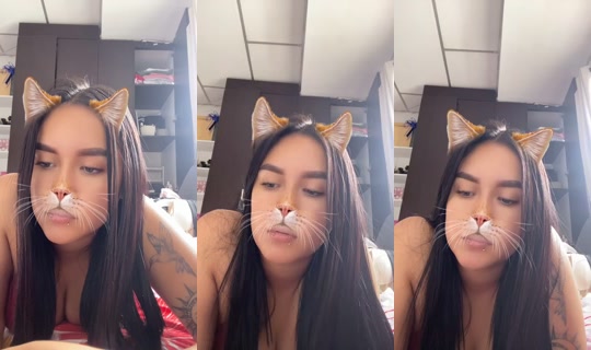 1625916462128160769's Stream - Oct 21, 2026, 4:40 PM