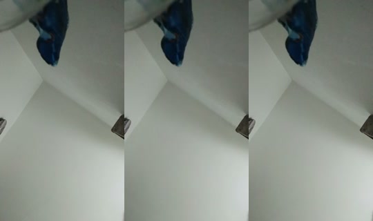 1704618989762177025's Stream - Jul 29, 2026, 7:01 AM