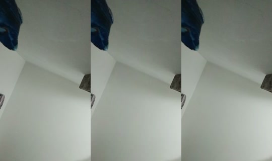 1704618989762177025's Stream - Jul 29, 2026, 7:52 AM