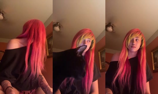 1714393859736832001's Stream - Sep 8, 2026, 10:17 AM