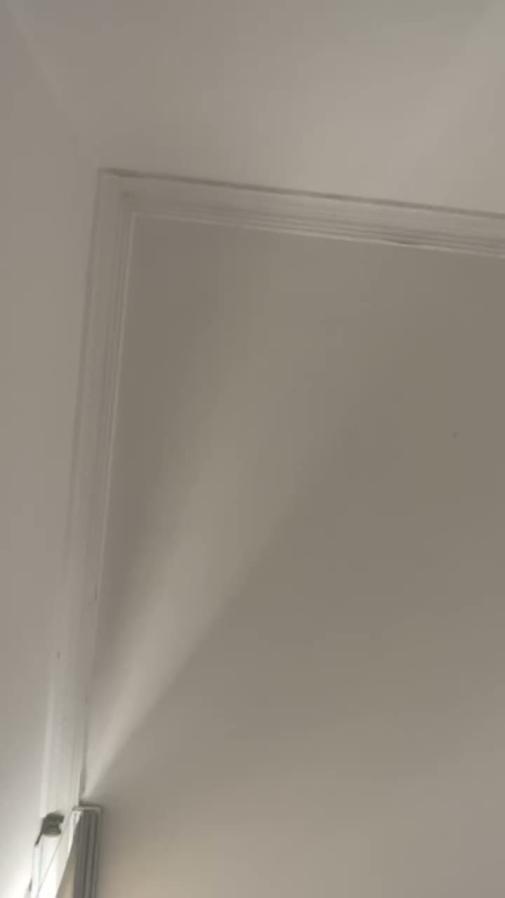 1737596668779235329