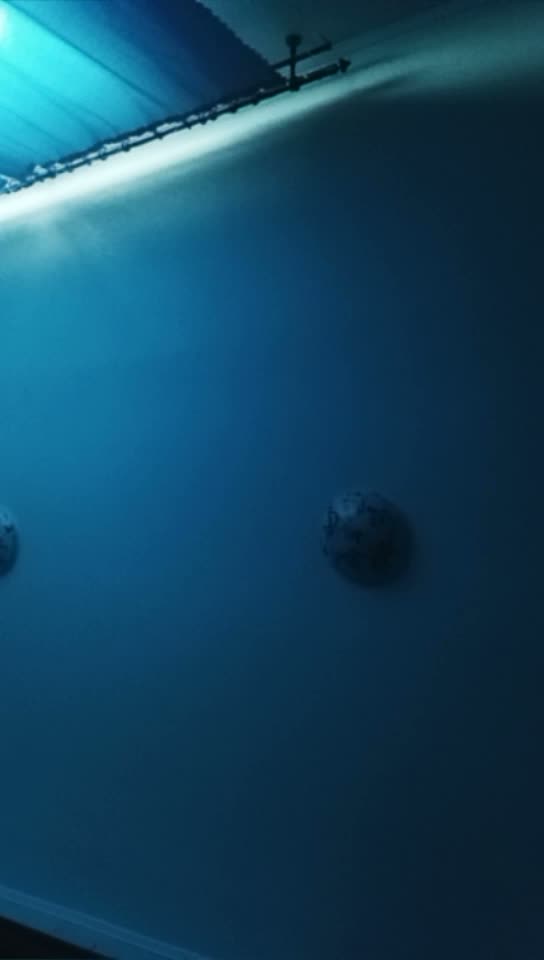1760665481829359617