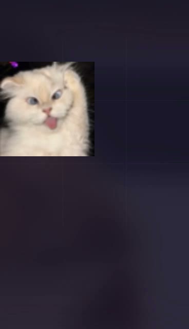 1830970794221826049
