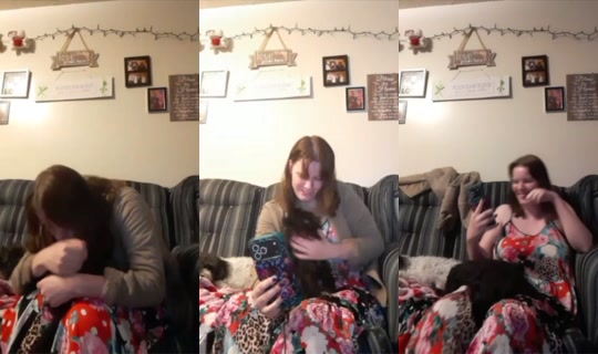 1951822383388790785's Stream - Oct 22, 2026, 12:41 AM