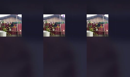 1953365226543228929's Stream - Jul 20, 2026, 6:16 AM
