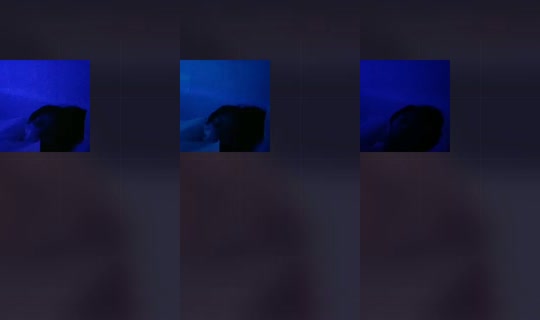 1953365226543228929's Stream - Sep 20, 2026, 1:24 PM