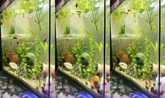 1956335195725407233's Stream - Sep 18, 2026, 9:15 PM