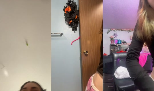 1969461273083744257's Stream - Jul 28, 2026, 8:31 PM