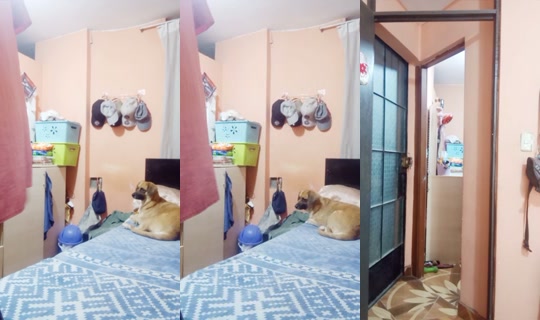 1988025829623026689 2026년 7월 18일 PM 2:42에 녹화됨