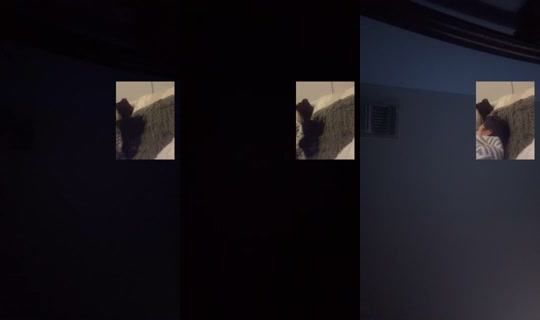 2039030553545652225's Stream - Sep 18, 2026, 4:13 AM