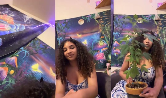 2060461060840174593's Stream - Jul 28, 2026, 9:32 AM