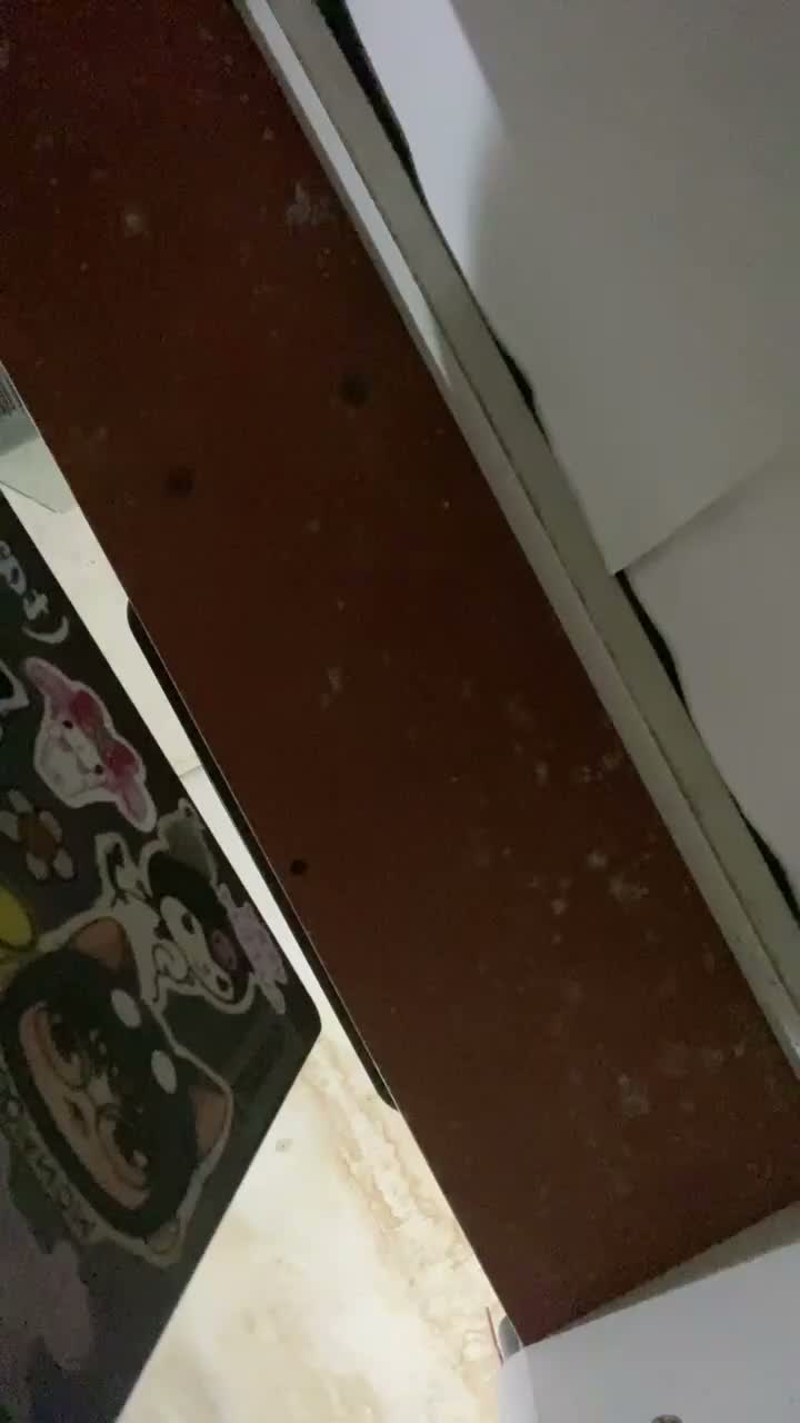 2073771964979007489