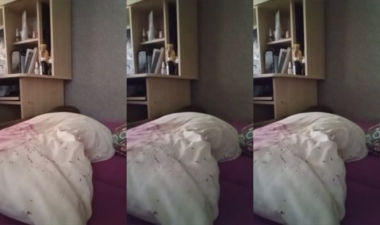 2085254793610976257's Stream - Oct 21, 2026, 8:24 AM