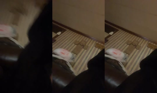 2088350447994604545's Stream - Sep 22, 2026, 4:14 PM