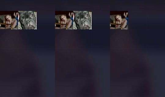 2097238031535496193's Stream - Oct 28, 2026, 8:27 PM