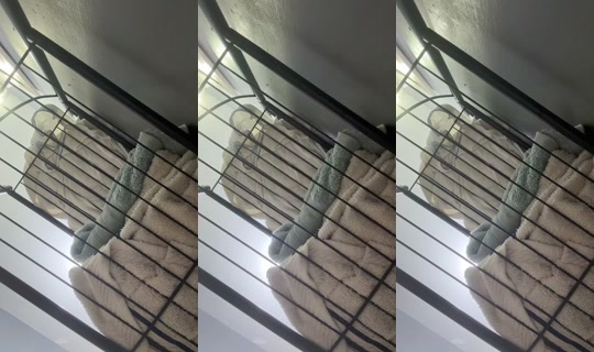 2107507948392197121's Stream - Oct 12, 2026, 8:21 PM