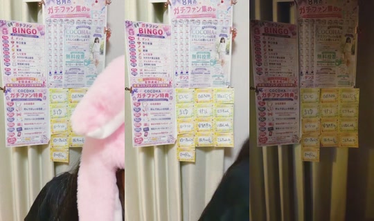 11817378's Stream - Aug 10, 2026, 11:51 AM