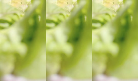 17831752's Stream - Aug 21, 2026, 11:06 AM