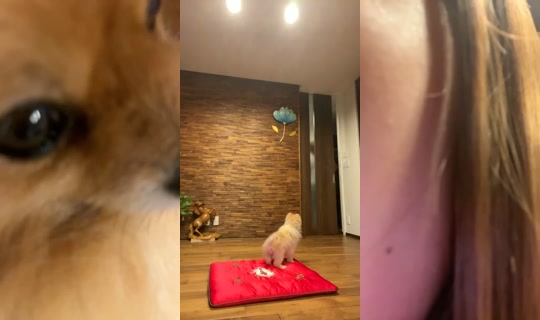 18855803's Stream - Sep 20, 2026, 8:09 AM