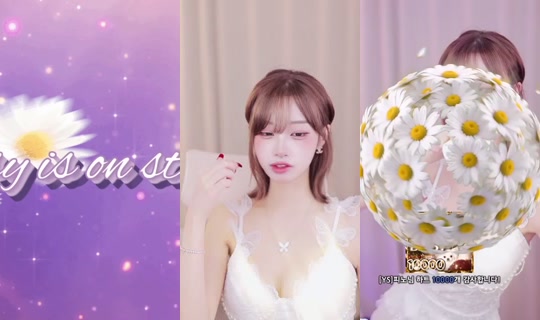 Daisy00's Stream - Jul 16, 2026, 4:51 AM