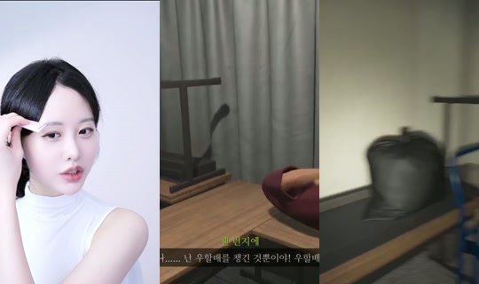 oyoye1's Stream - Sep 13, 2026, 12:06 PM