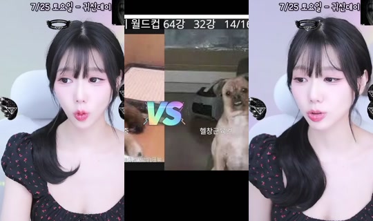 seula00's Stream - Jul 19, 2026, 9:31 AM