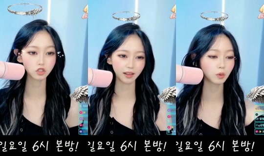 washabi8282's Stream - Aug 21, 2026, 11:23 AM