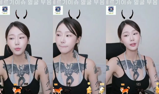 xoxop0's Stream - Aug 7, 2026, 10:19 AM
