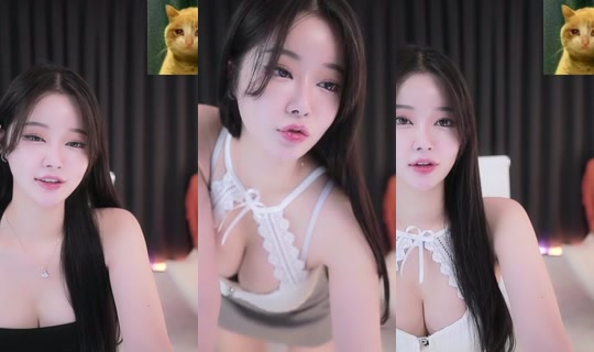ysh0088's Stream - Aug 2, 2026, 8:54 AM
