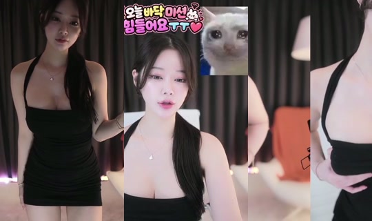ysh0088's Stream - Sep 17, 2026, 10:53 AM