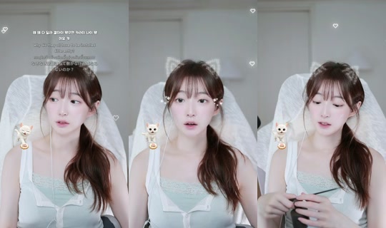 .nyang6's Stream - Aug 22, 2026, 9:35 AM