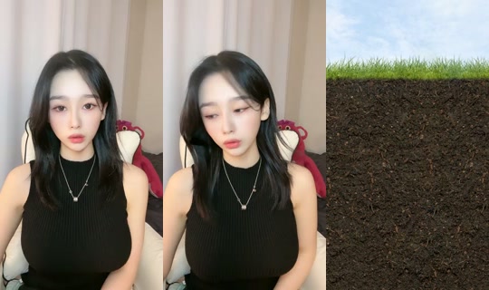 0.1.2.4__'s Stream - Sep 21, 2026, 11:33 AM